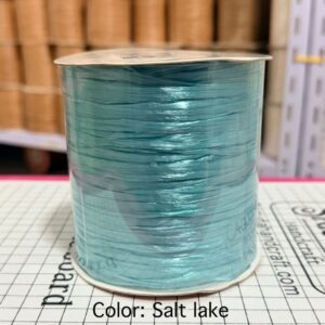 ไหมราฟเฟีย สี Salt lake - Raffia yarn Color: Salt lake